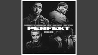 Perfekt (Remix)