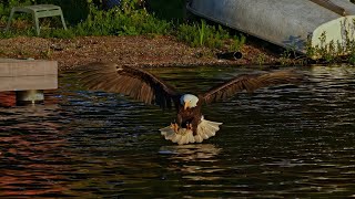 May 2025 Eagles Have Arrived