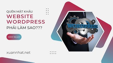 Cách lấy lại mật khẩu website wordpress bị quên khi không nhận được email khôi phục