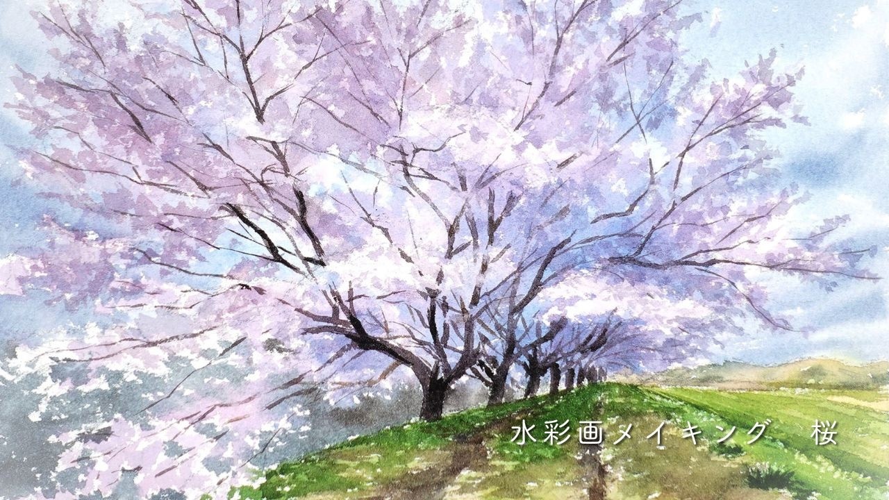 水彩画メイキング「桜」 Watercolor Painting Process : Cherry