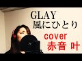 【女性が歌う】GLAY / 風にひとり covered by 赤音 叶