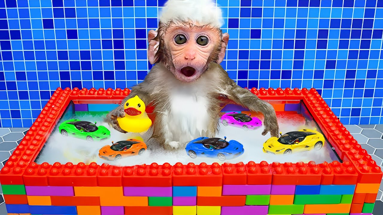 Mono BonBon cuida a su hermano y cocina en la cocina de forma divertida