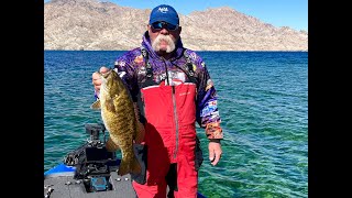 FRIDAY FISHING REPORT 3/3/23 Lake Mohave / Colorado River