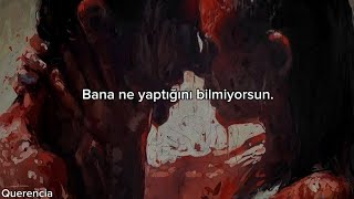 Chris Brownunder The Influence Türkçe Çeviri