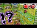 完全に騙された客。この設定だと5万円くらい使わないと1つも景品GETできませんね【クレーンゲーム】