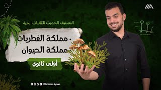 مملكة الفطريات والنبات?? رحلة فرم التصنيف✊? أحياء أولى ثانوى ??❤️