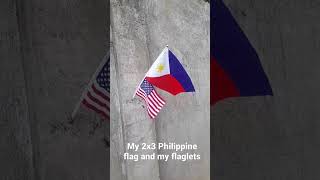 2X3 Philippine Flag And Flaglets