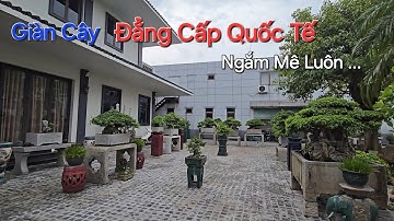 CHIÊM NGƯỠNG ĐÃ MẮT tổng thể VƯỜN CÂY TUYỆT ĐẸP cùng GIÀN CÂY ĐẲNG CẤP QUỐC TẾ ...