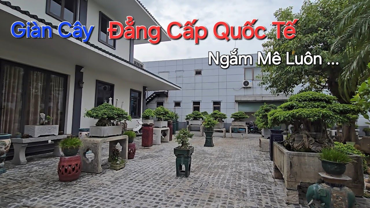CHIÊM NGƯỠNG ĐÃ MẮT tổng thể VƯỜN CÂY TUYỆT ĐẸP cùng GIÀN CÂY ĐẲNG CẤP QUỐC TẾ ...