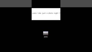 The Hidden Danger Inside Every Picture ⚠️ - Meta Data #metadata #security