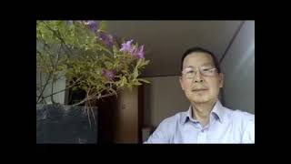 ECON 0353 Class Video 4 19 22