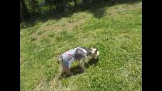 goneri 20140511 01