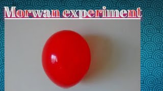 How To Make Paper Cup Helicopter| Morwan Experiment