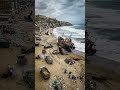 Clean restore beach build road