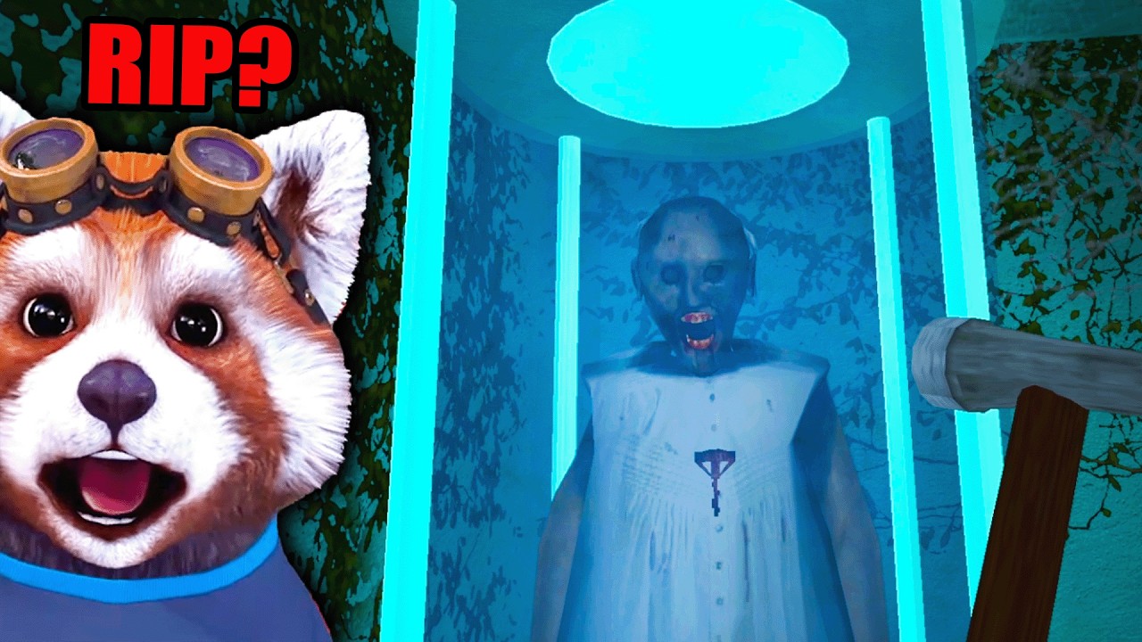 NU VEI CREDE CE A PATIT GRANNY si CE PLAN ARE!