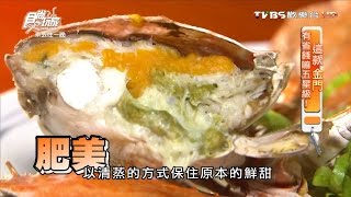 【金門】新大廟口海鮮必吃炒沙蟲食尚玩家20160627