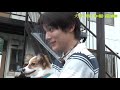 中川大志「ワンちゃんファースト」......映画『犬部!』メイキング映像公開
