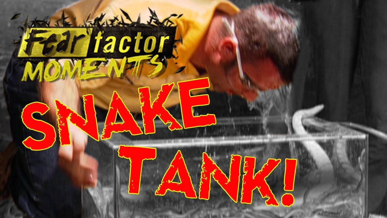 eating out ne demek Fear Factor Moments | Bobbing for Snakes