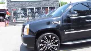 HILLYARD RIM LIONS 2010 CADILLAC ESCALADE SITTING ON 24 INCH BLACK & MACHINED RIMS STARR 469 SKS