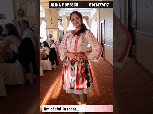 Alina Popescu - Am căutat în zadar(cover) class=