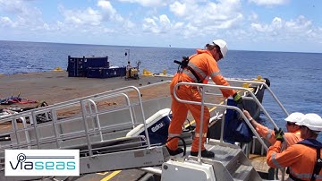 Viaseas Motion Compensated Gangway