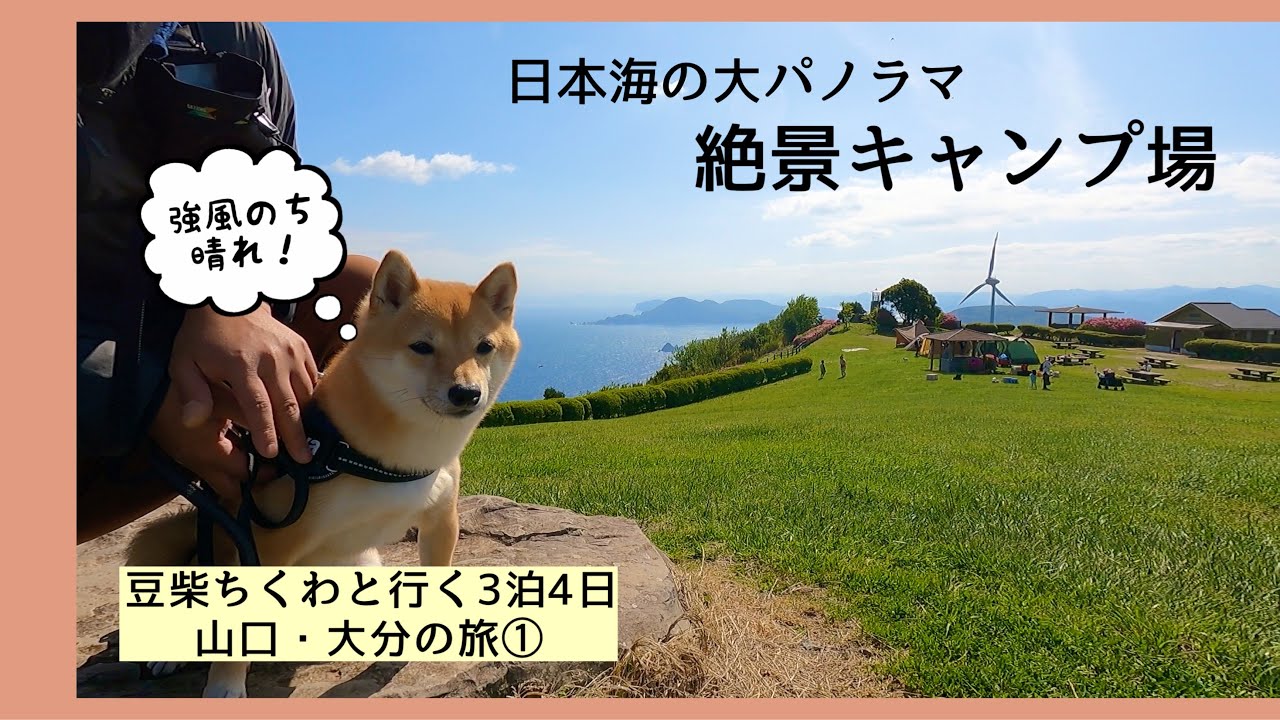 【犬連れ旅行】3泊4日で山口・大分の旅 ①千畳敷高原でキャンプ（山口県長門市）