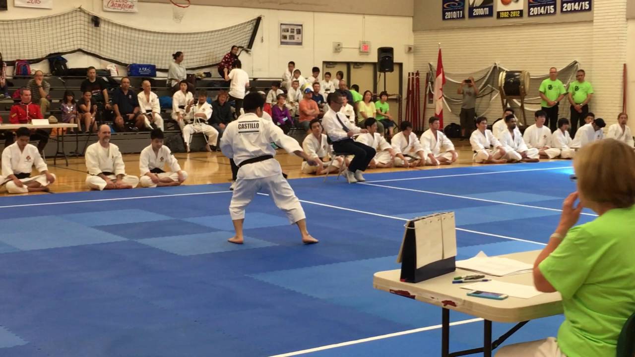 Shorinji Kempo NA Taikai 2016 - Tandoku embu
