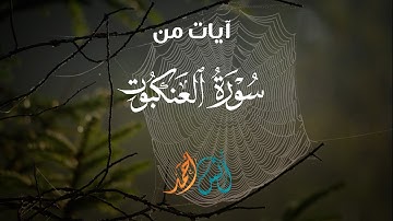 تلاوة قصيرة من سورة العنكبوت✨ | إن الصلاة تنهى عن الفحشاء والمنكر| القارئ أنس أحمد🎧