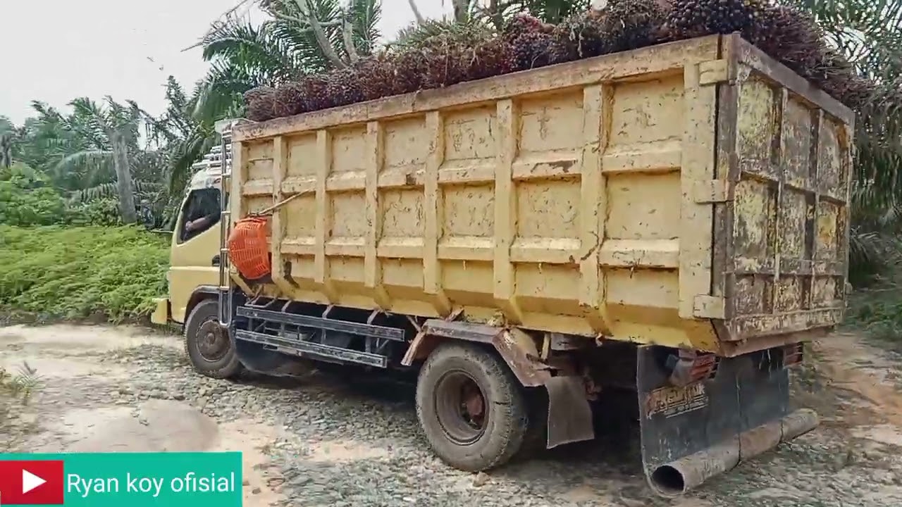 Berangkat pabrik si canter, lewat tanjakan esktim