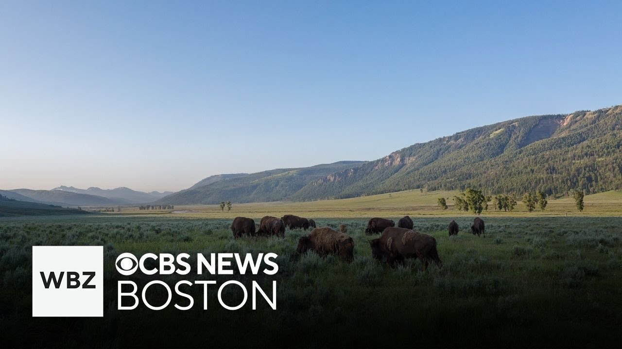 Non U.S. residents will have to pay $100 extra to visit popular National Parks