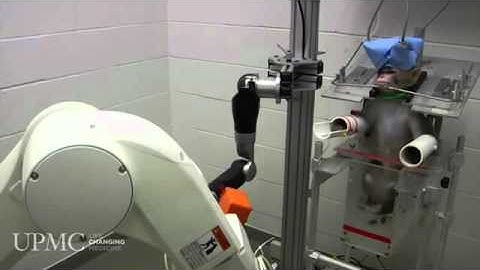 Monkey controls human robotic arm with brain computer interface