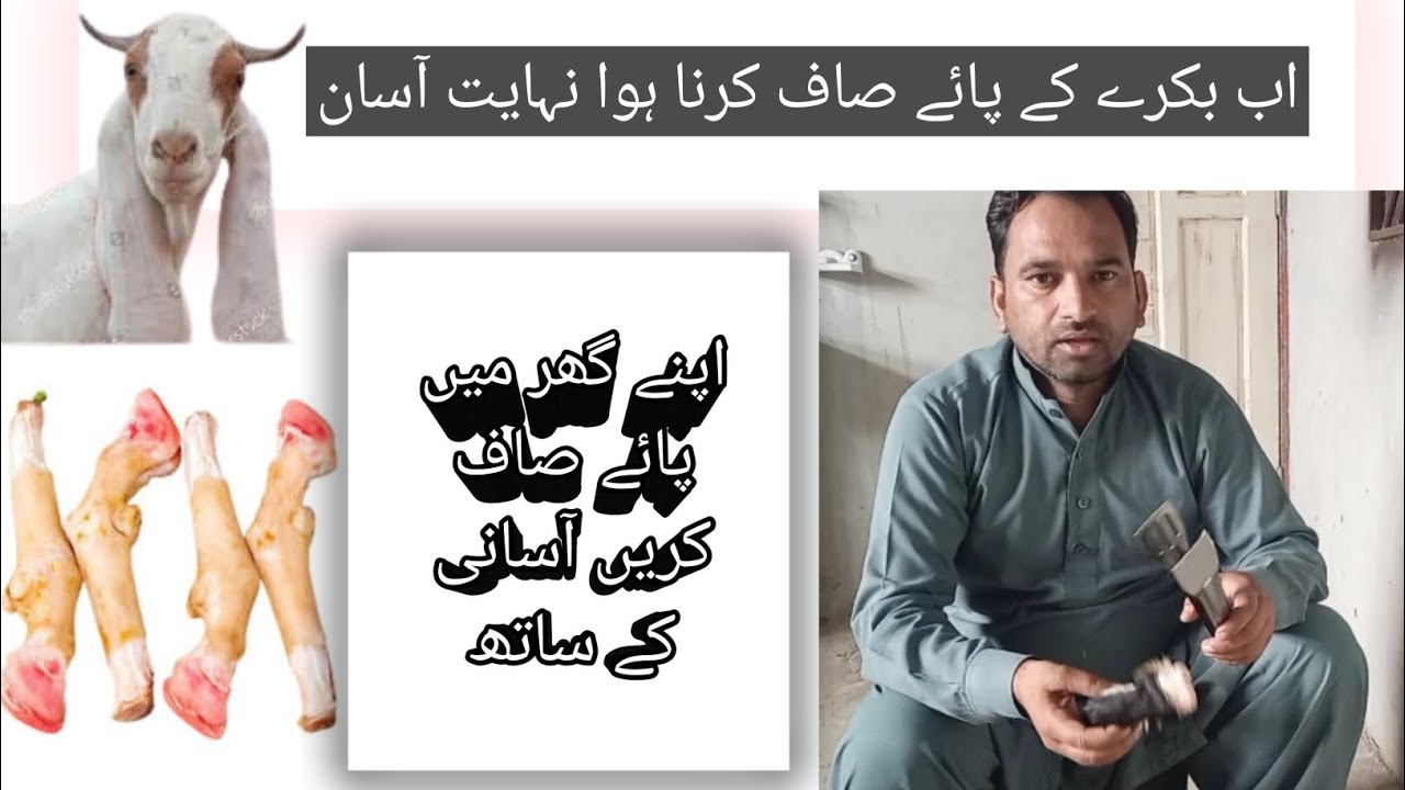 گھر میں بکرے کے پائے آسانی کے ساتھ صاف کرنے کا طریقہ Bakre  K pae Cleaning Mathod at home.