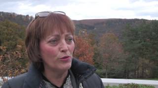 Best Practice in Dementia Care   Shirley Law