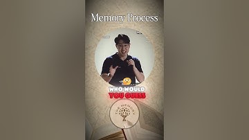 Why You Forget Everything (It’s Not Your Brain) 🧠