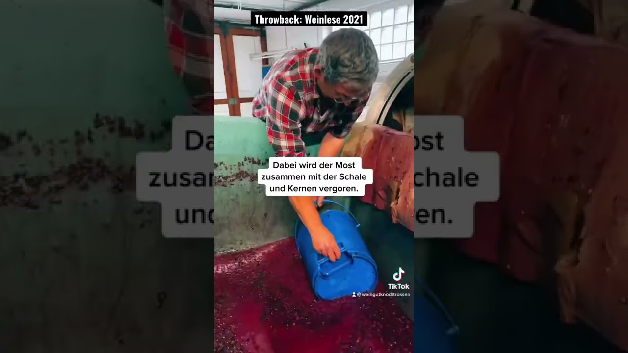 Von der Traube ins Weinfass - Weinlese 2021 🍇🍷 