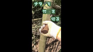 ナタで竹を切る