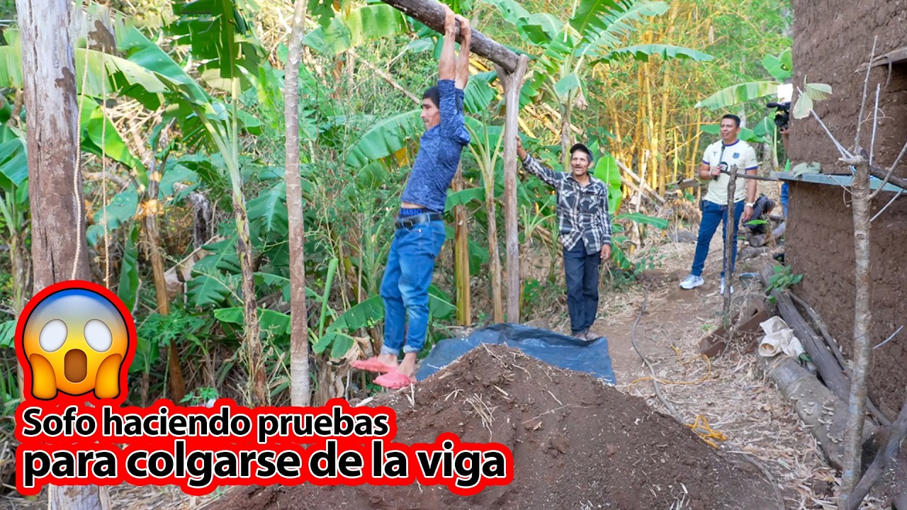 Sofo está a punto de colgarse de la viga y mostrarnos cual es la terapia – Ediciones Mendoza