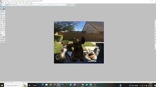 Scrat Grounds Vincent And Gets Ungrounded