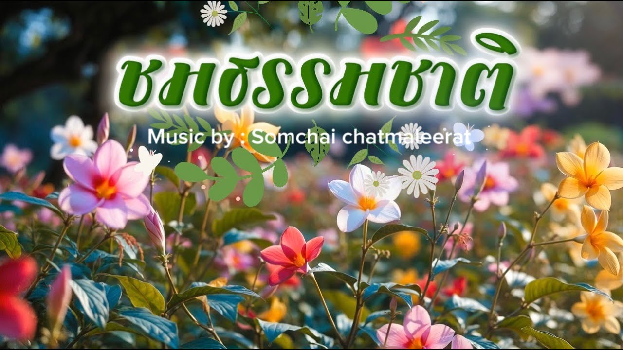 Songhoss_ชมธรรมชาติ CV2