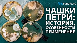 ЧАШКА ПЕТРИ. ИСТОРИЯ ВОЗНИКНОВЕНИЯ, ОБЛАСТЬ ПРИМЕНЕНИЯ И ОСОБЕННОСТИ