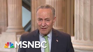 Senator Chuck Schumer: We Came Out Better Yesterday Than Donald Trump Did | Morning Joe | MSNBC