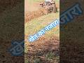 खेत खलियान #villagelife #village #gave #marwadi #tejaji #youtubeshorts #shorts #viralvideo @fashion