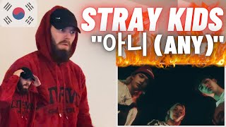 TeddyGrey Reacts To | Stray Kids '아니 (Any)' Video | HYPE UK 🇬🇧 REACTION!