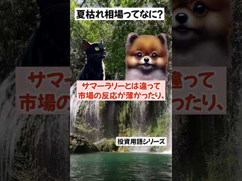 夏枯れ相場ってなに？　#投資用語 #投資初心者 #新NISA #short
