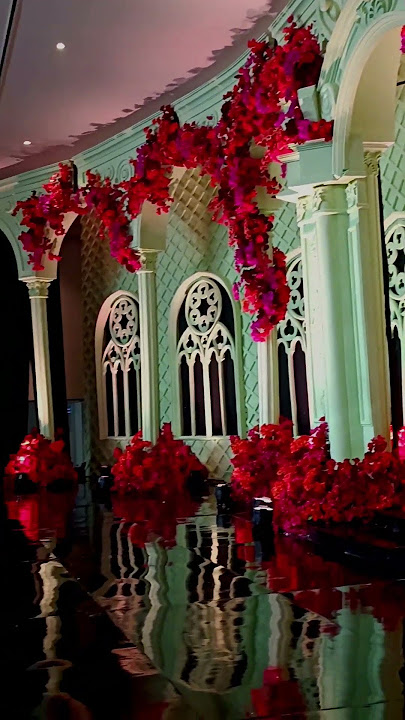 wedding,Renaisance Semarang #mentahan #mentahanvideo #story #storywa