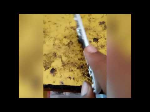 Samsung 1200 Mic Jumper Solution 100%