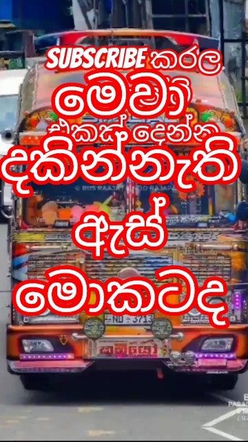 කූඹියෝටකැමති අය subscribeකරන්න #automobile#trending #shortsfeed#bus #shortsviral#1k #1ksubscriber