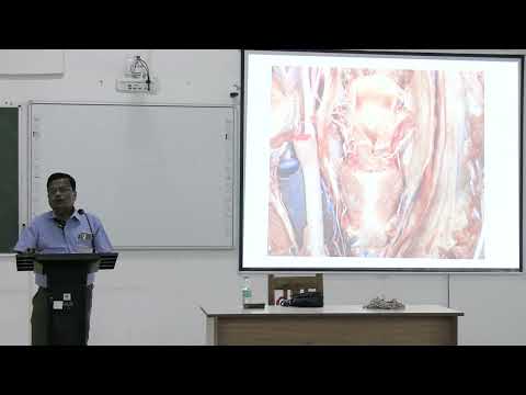 Lecture On Larynx