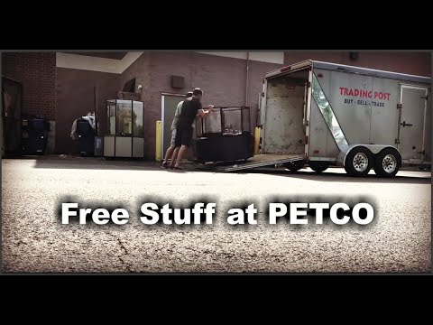 Cincinnati Craigslist Free