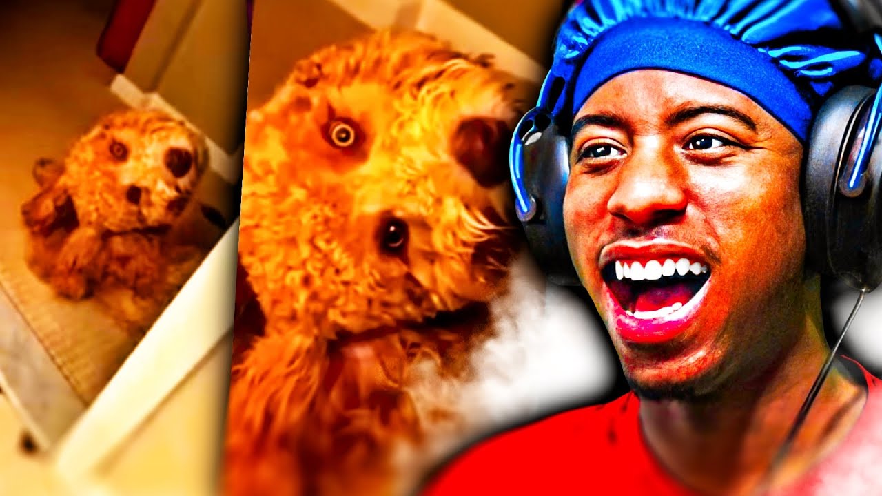 ЧЁРНЫЙ ЮМОР, над которым не стоит смеяться!